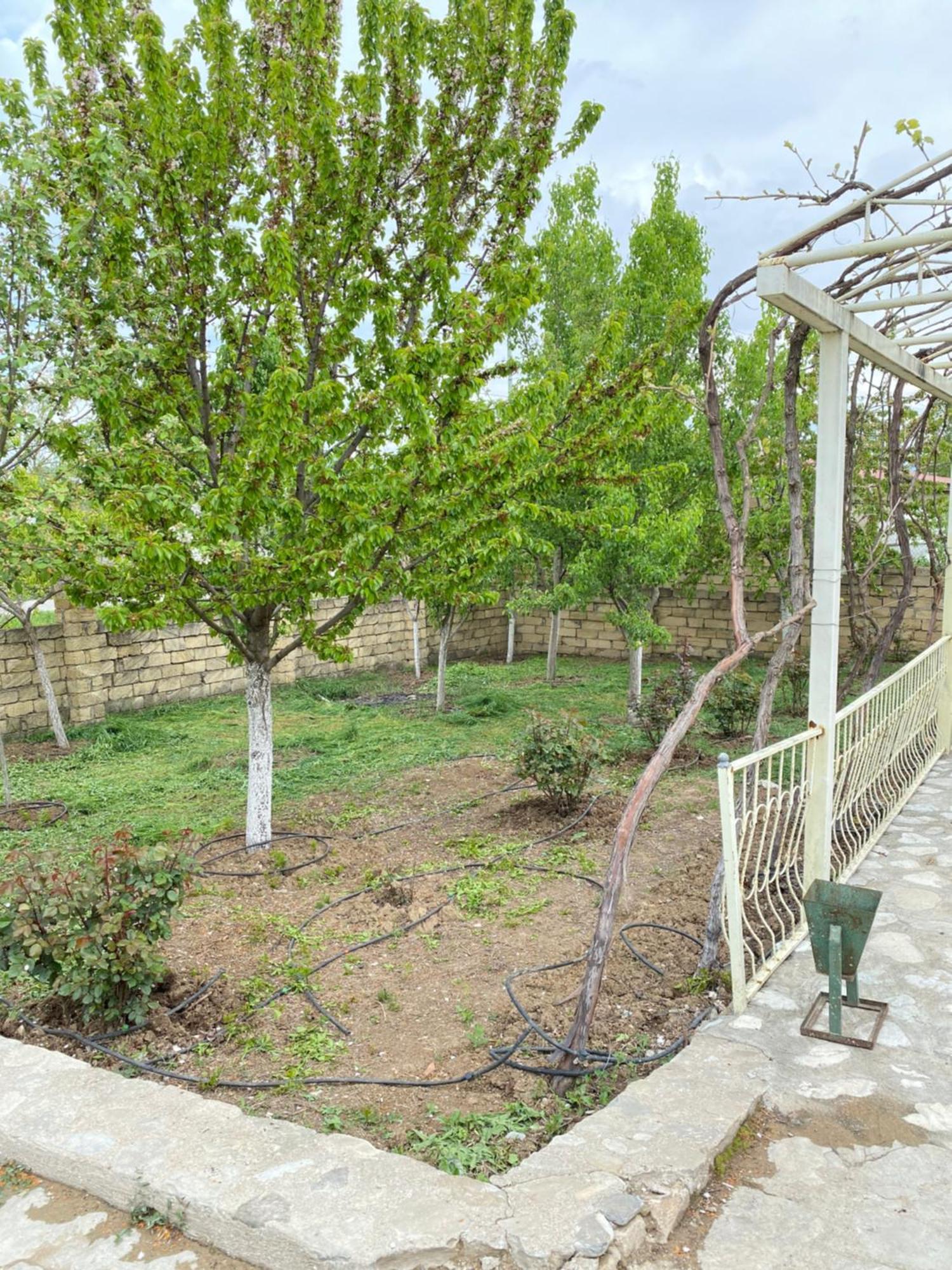 Sultan Makan Cuxuryurd Dış mekan fotoğraf